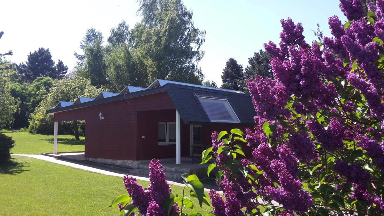 Gemuetliches Gaestehaus Bahretal Exterior foto